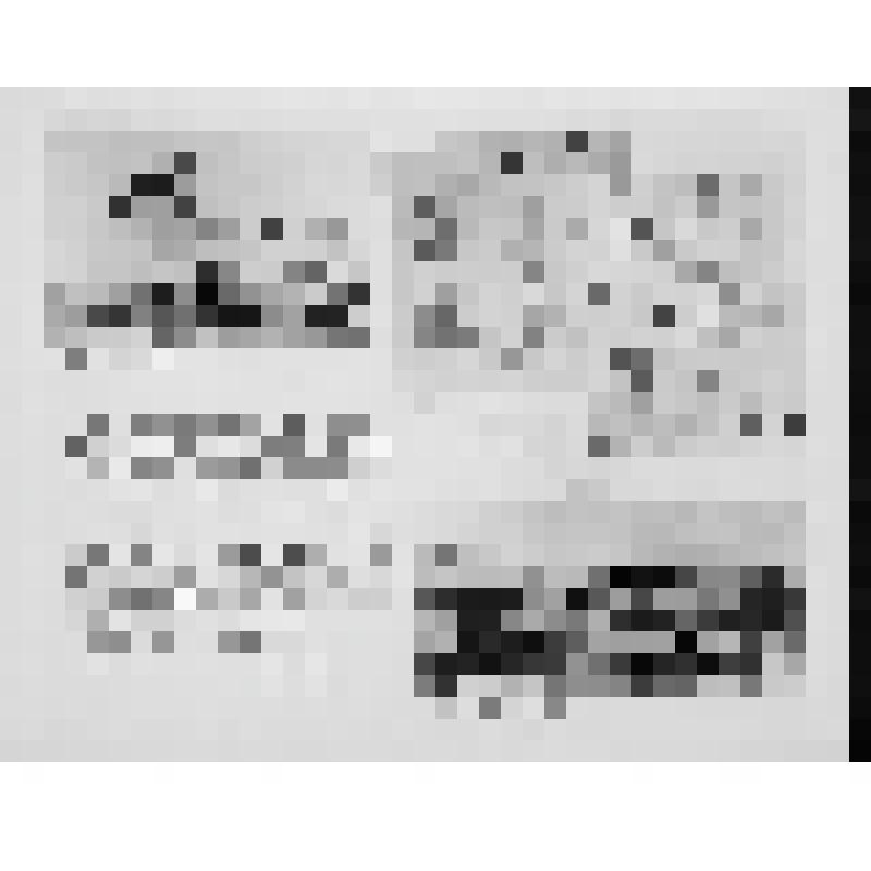 Комплект фотографий. Выставка "М.Ю. Лермонтов"