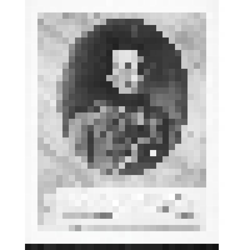 Комплект фотографий. Выставка "М.Ю. Лермонтов"