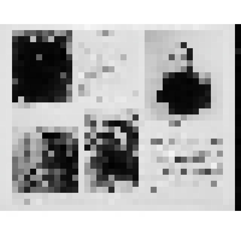 Комплект фотографий. Выставка "М.Ю. Лермонтов"