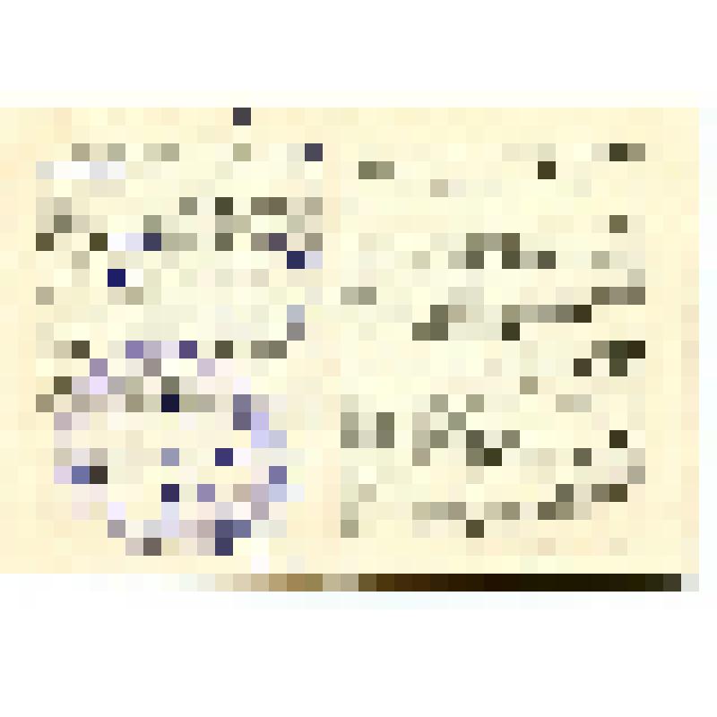 Документ. "Пенсионное удостоверение №252980 Вильчевского А.Л. по инвалидности"