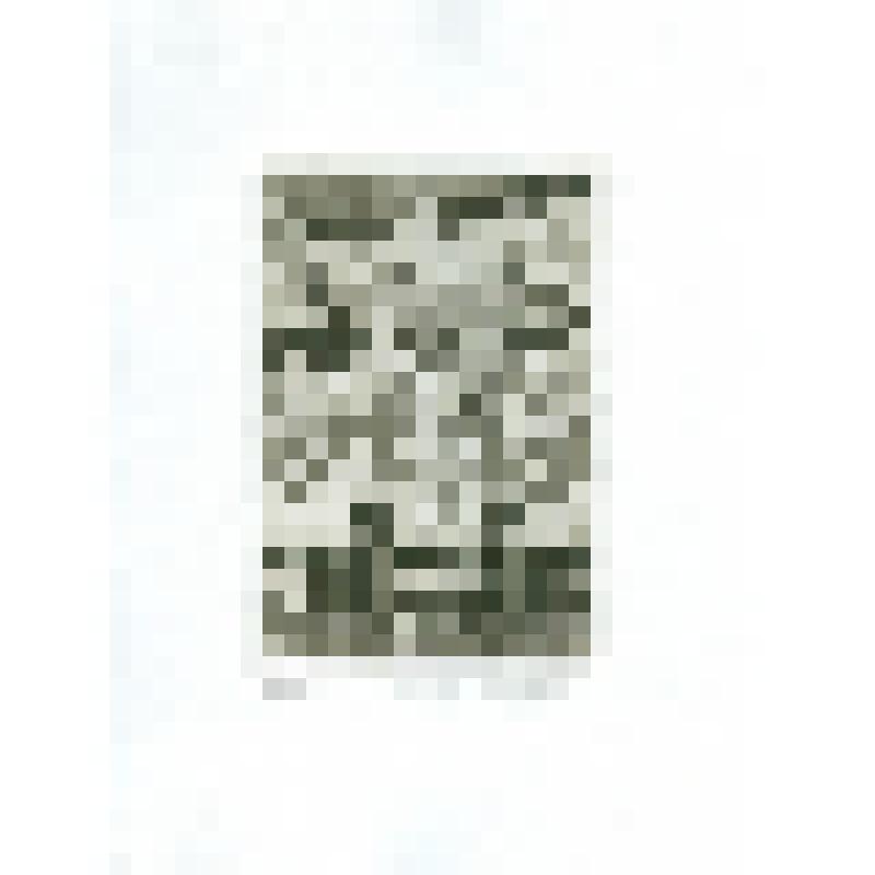 Экслибрис "EX Libris D.A. Mizgulin". №30/50. 1 л