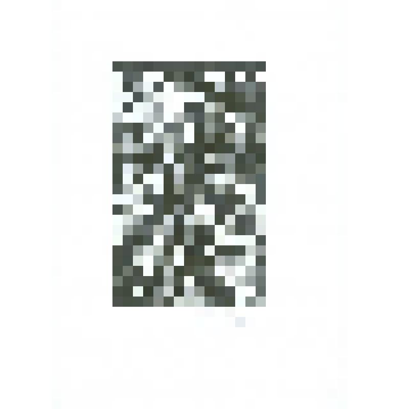 Экслибрис "Из книг Дмитрия Мизгулина". №483. 1 л