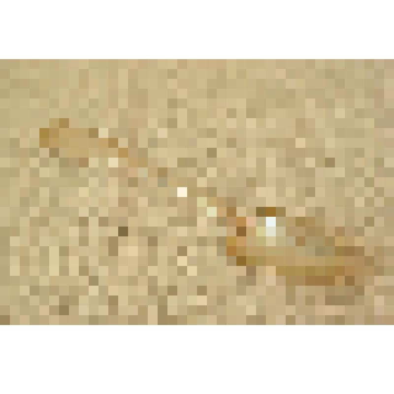 Ложка столовая