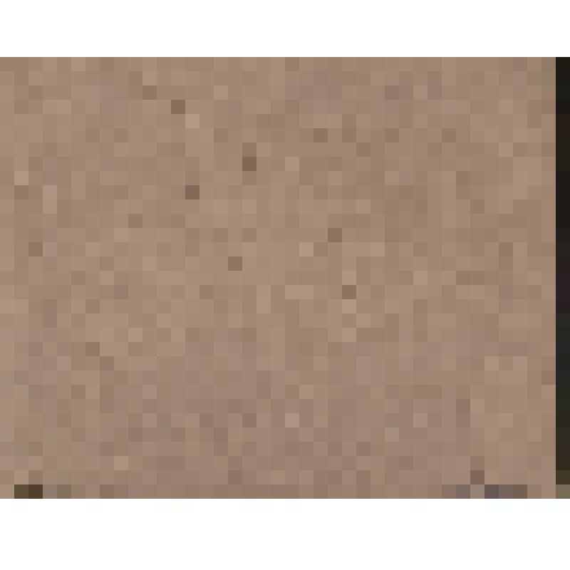 Фото. 24-й выпуск заочников Омского заочного педагогического училища. 1954 - 1958 гг. СССР, Омск, 1958 г. На паспарту