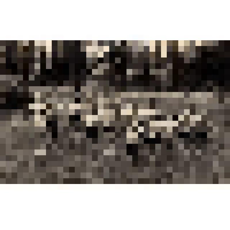 Фотография. Дети в детском саду на зарядке