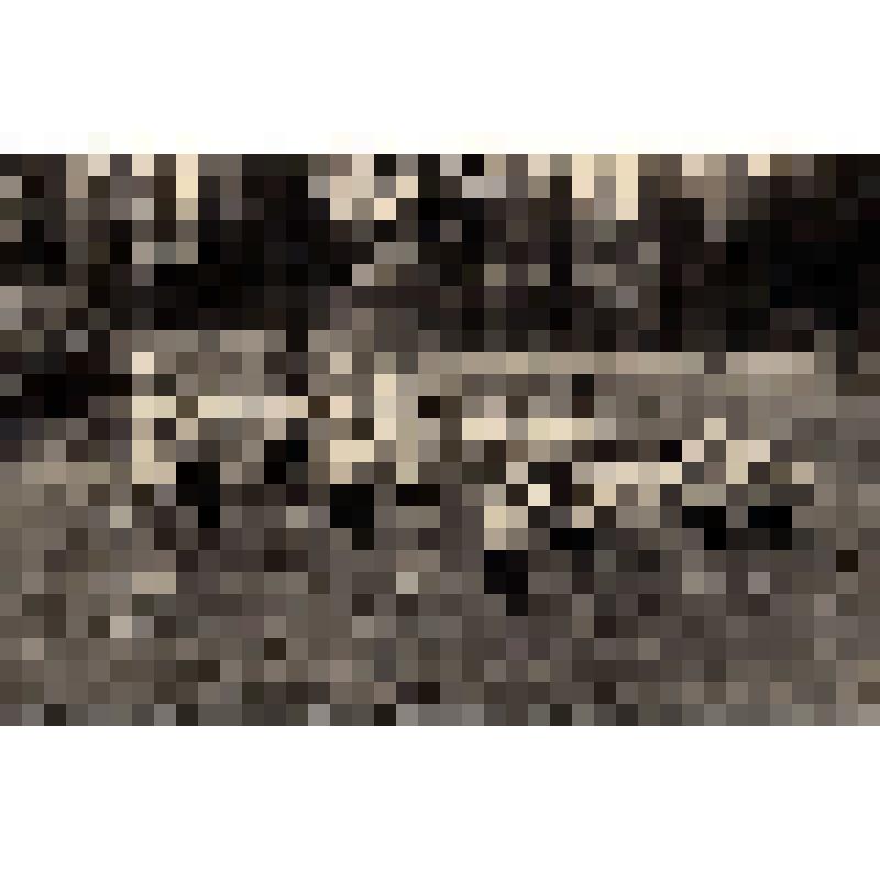 Фотография. Дети в детском саду на зарядке