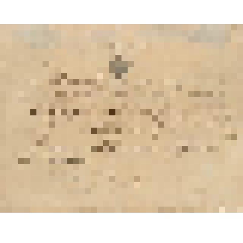 Документ. Образец почтовых расписок в домарочный период. Расписка Мценской почтовой конторы на принятое отправление, письмо и ящик, ценностью шесть рублей, в Харьков Архангельскому , от Г. Сокола