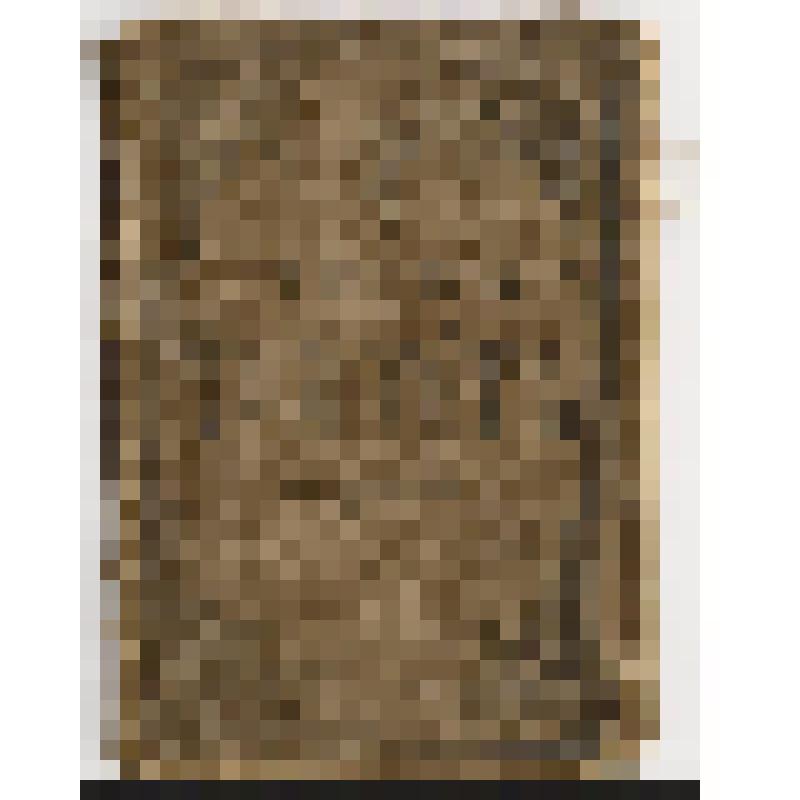 Книга «Псалтирь учебная»