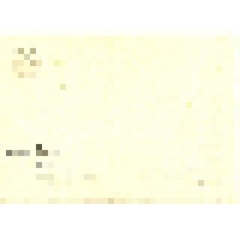 Открытка. Флоксы в зелёной вазе