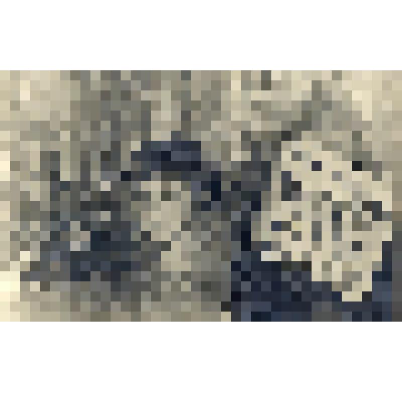 Открытое письмо чёрно-белое. «Ленизокомбинат»