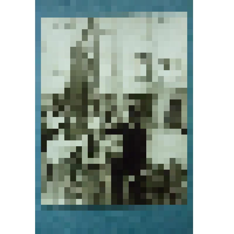 Фотография групповая