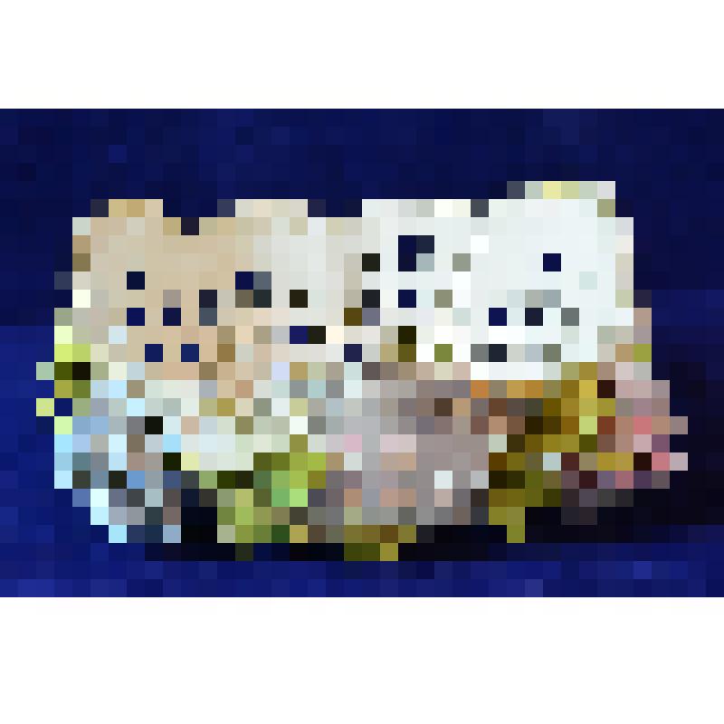 Ваза под фрукты