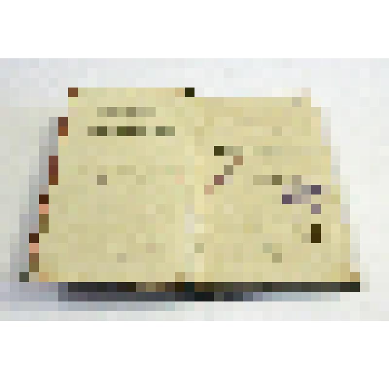 Книга. История России с древнейших времен. - Т. XII. История России в царствование Алексея Михайловича. - М.: Типография Грачева и Комп., 1862. -  Т. III. - 360 с.,  IV с