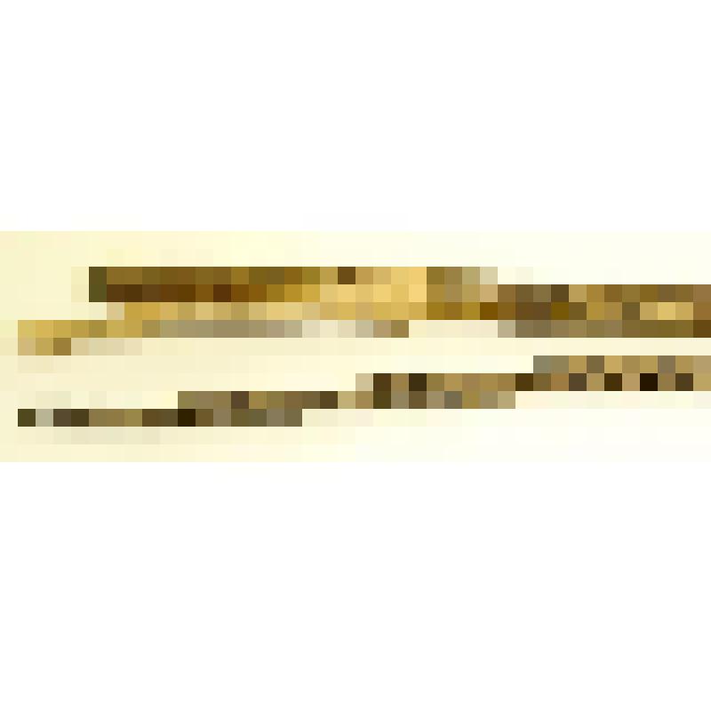 Кнут башкирский