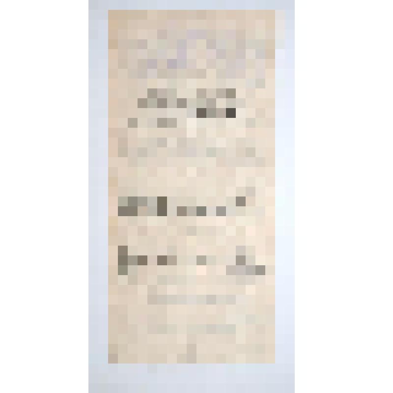 Программа. Музыкально-вокальный вечер. "Волшебная балалайка"; "Светопреставление". Александровск-Сахалинский; Любители