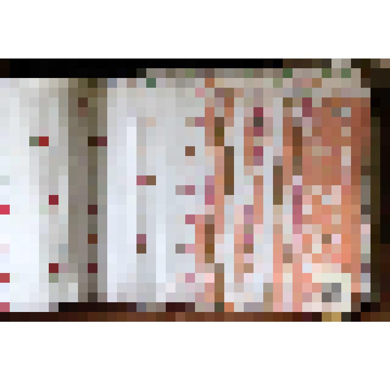 Образец ситца набивного, в альбоме