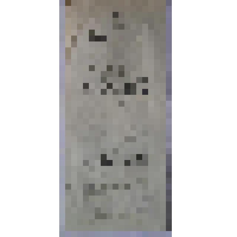 Программа сводная с исполнителями. "Мисс Гоббс (Женская логика)" (Режиссёры - П.А.Зайцев, В.А. Крамолов.); "Теща в дом, все вверх дном" (Режиссёры - П.А.Зайцев, В.А. Крамолов.). Архангельск, Городской театр; Антреприза, Труппа русских драматических артист