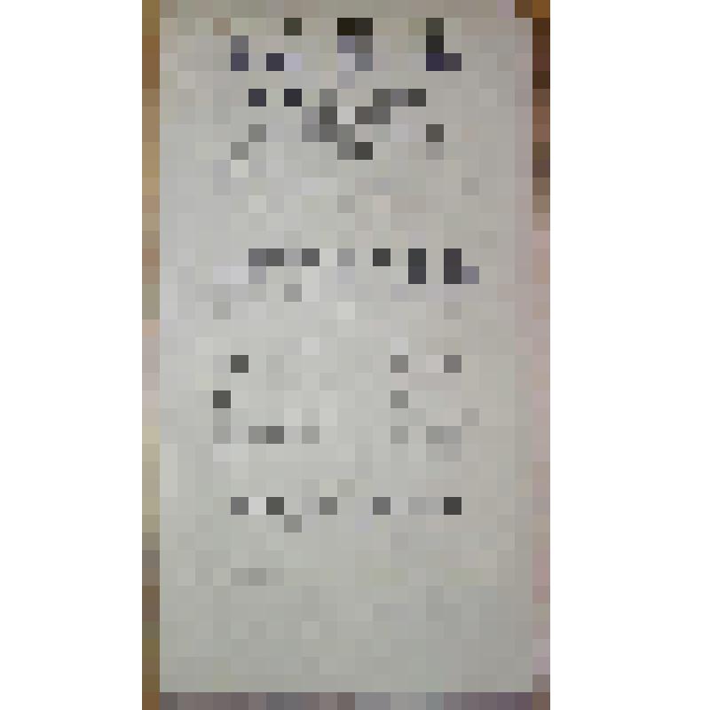 Программа с исполнителями. "За неман иду" (Режиссёр - П.С. Миров-Бедюх). Архангельск, Гагаринский сквер; Антреприза, Труппа опереточных артистов под управлением П. С. Мирова-Бедюх