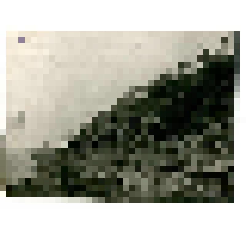 Фотография. Сангарские угольные разработки. У шахты