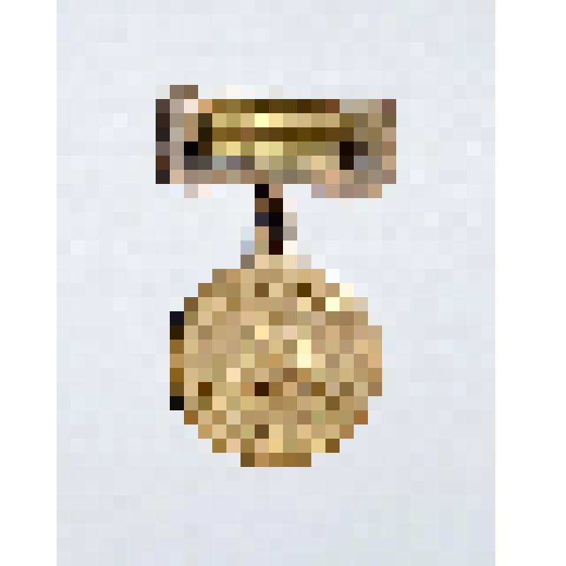 Медаль Материнства II степени