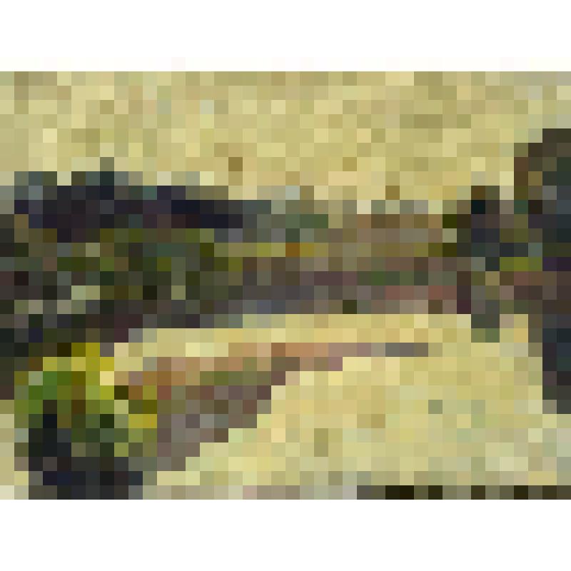 Пейзаж с рекой. Этюд