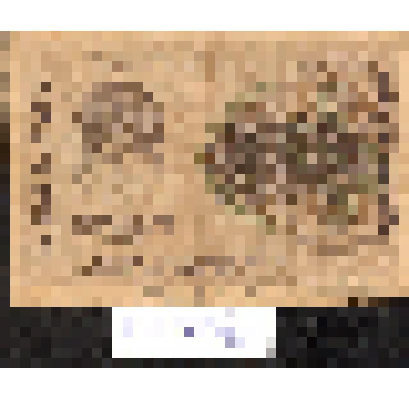 Расчетный  знак "250 рублей" образца 1919г. РСФСР