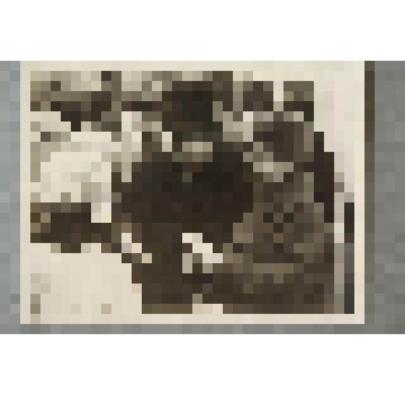 Фото. Н. Образцова на праздничной демонстрации 7 Ноября