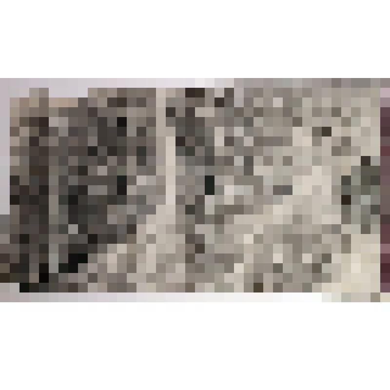 Копия с местонахождения курган Черновая XI