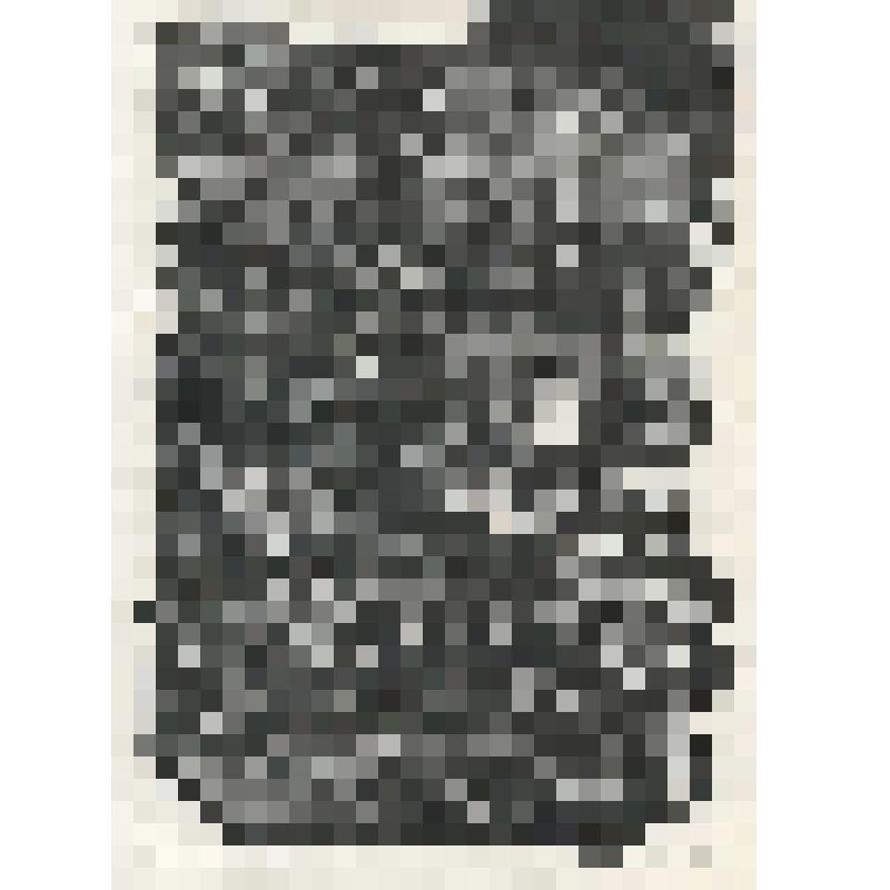 Гравюра. Майская ночь. Авторский оттиск иллюстрации к произведению Н.В. Гоголя