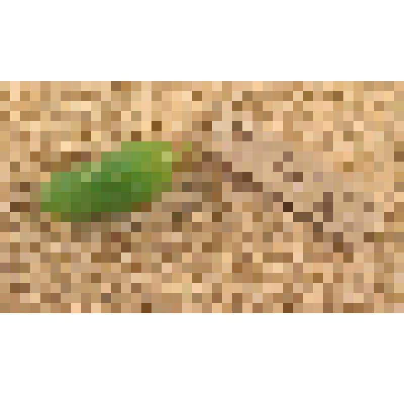 Игрушка елочная «Огурец» для искусственной мини-елки, из коллекции игрушек для искусственной мини-елки из наборов елочных украшений "Малютка"