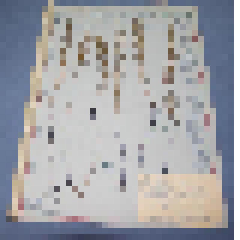 Ботаническая коллекция. Хвощ полевой, семейство хвощовые, на гербарном листе, Хакасия, за Абаканом на поляне. Cем. Eguisitaceae  P. Eguistum  В. Arbense Z