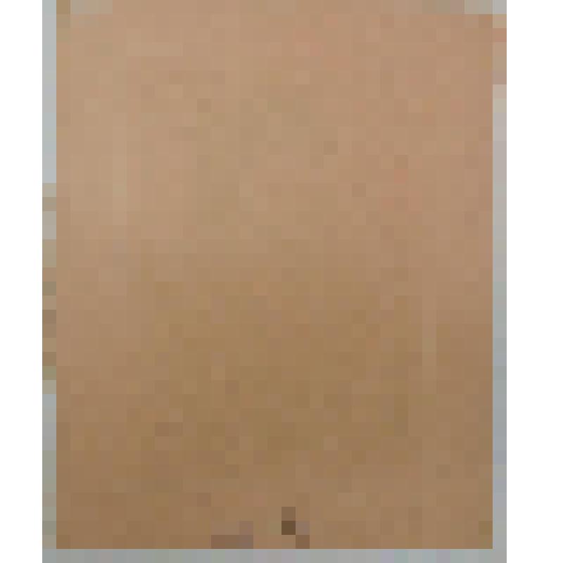 Портрет сэра Томаса Элиот