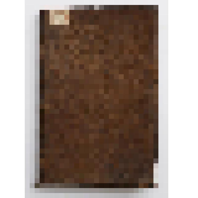 Книга «Иоанн Златоуст. Беседы на книгу Бытия» (Часть 2)