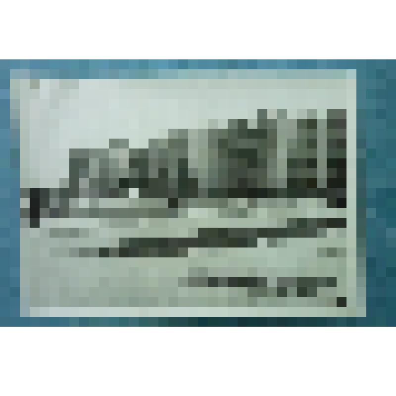 Фотография репортажная