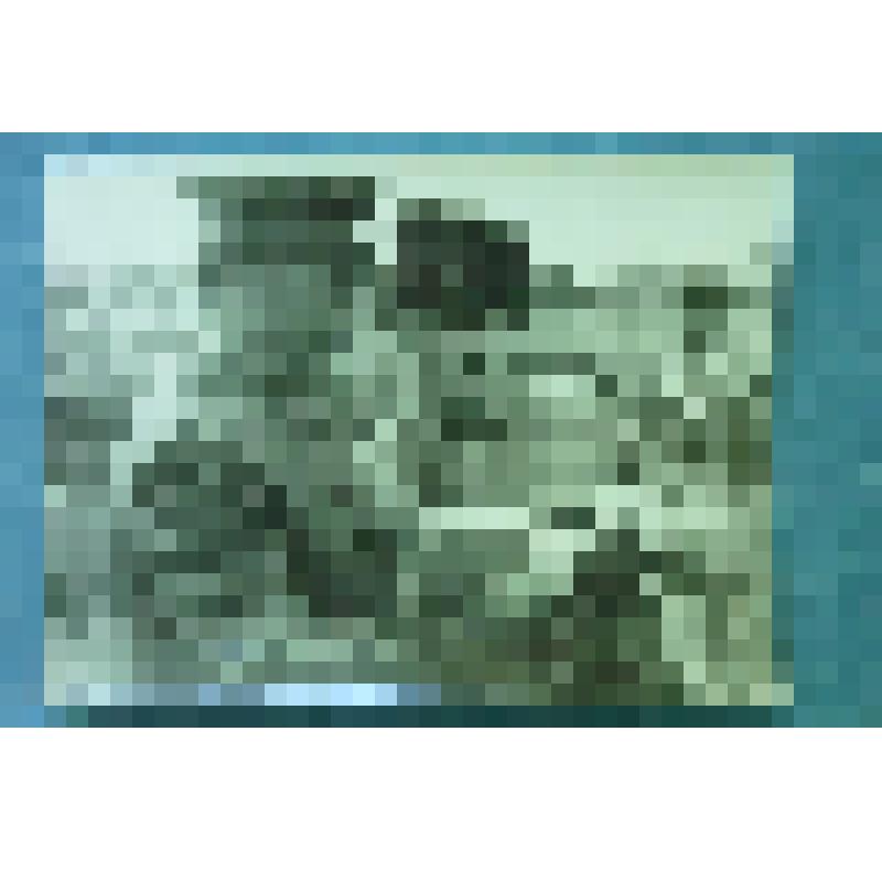 Фотография репортажная