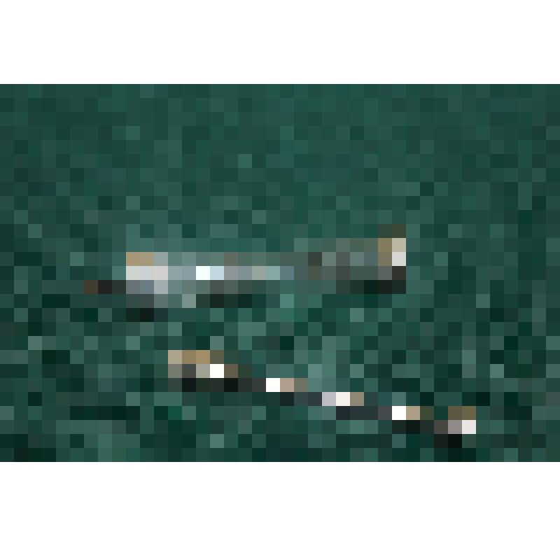 Поршень для шприца медицинского инъекционного многократного применения "Луер" 2 мл