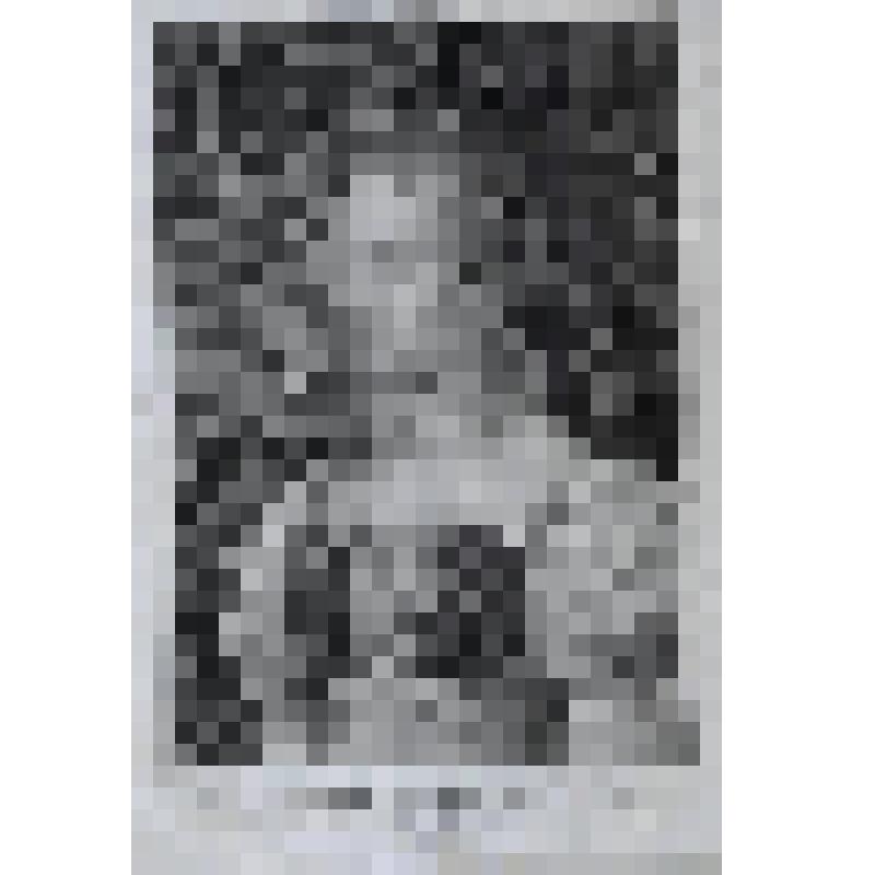 Портрет девушки с косой