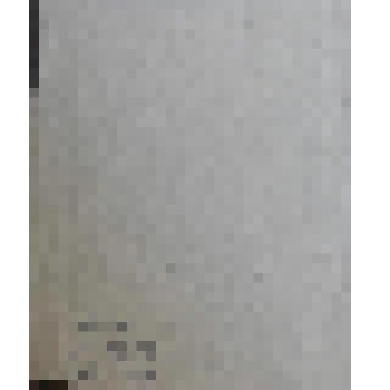 Портрет девушки с косой