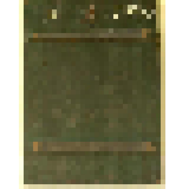 Икона "Чудо Георгия о змие"