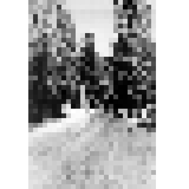 Фото ч/б. Мост через реку Дагуаб