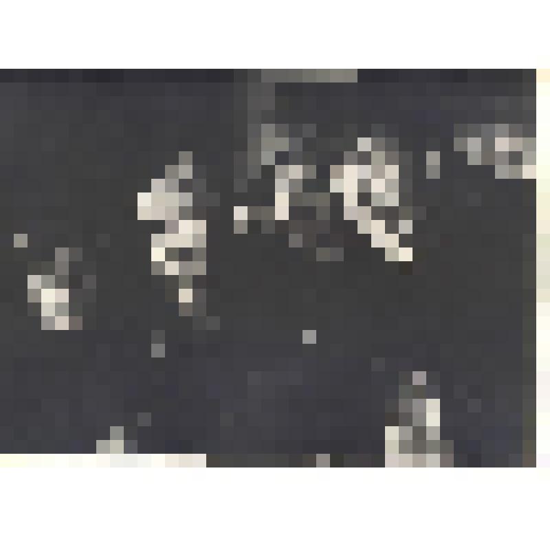 Фотография ч/б. Боец рассказывает что-то окружающим. Кадр из художественного кинофильма "Мотря". Студия "Мосфильм", 1967 г