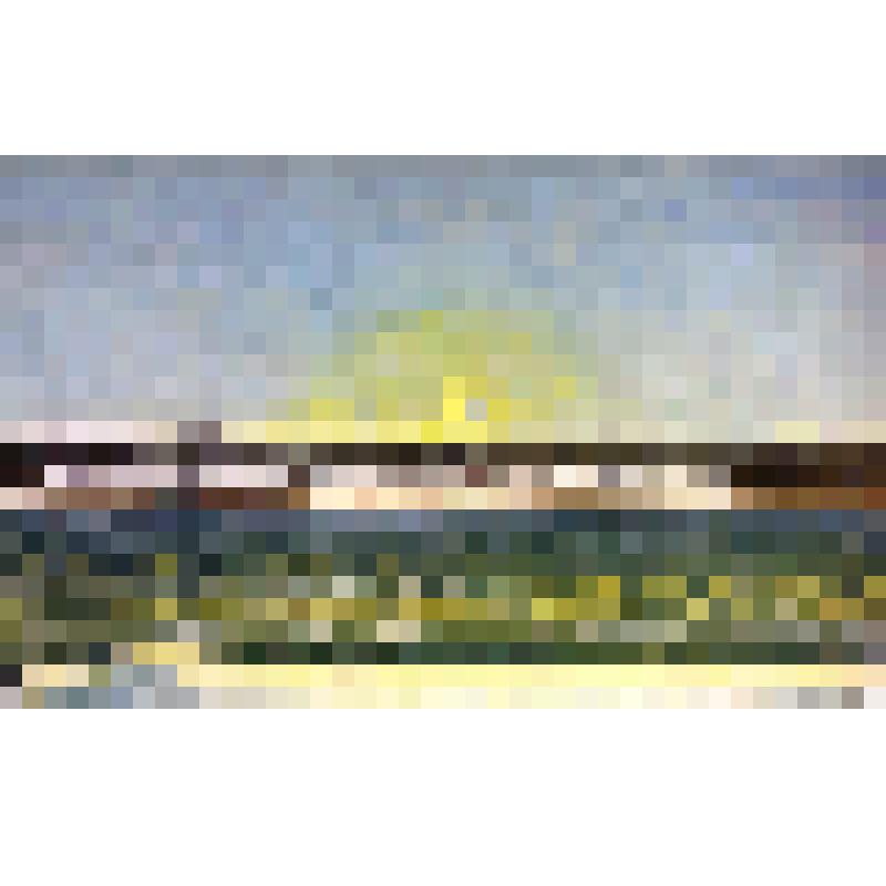 Картина «Зимний пейзаж»