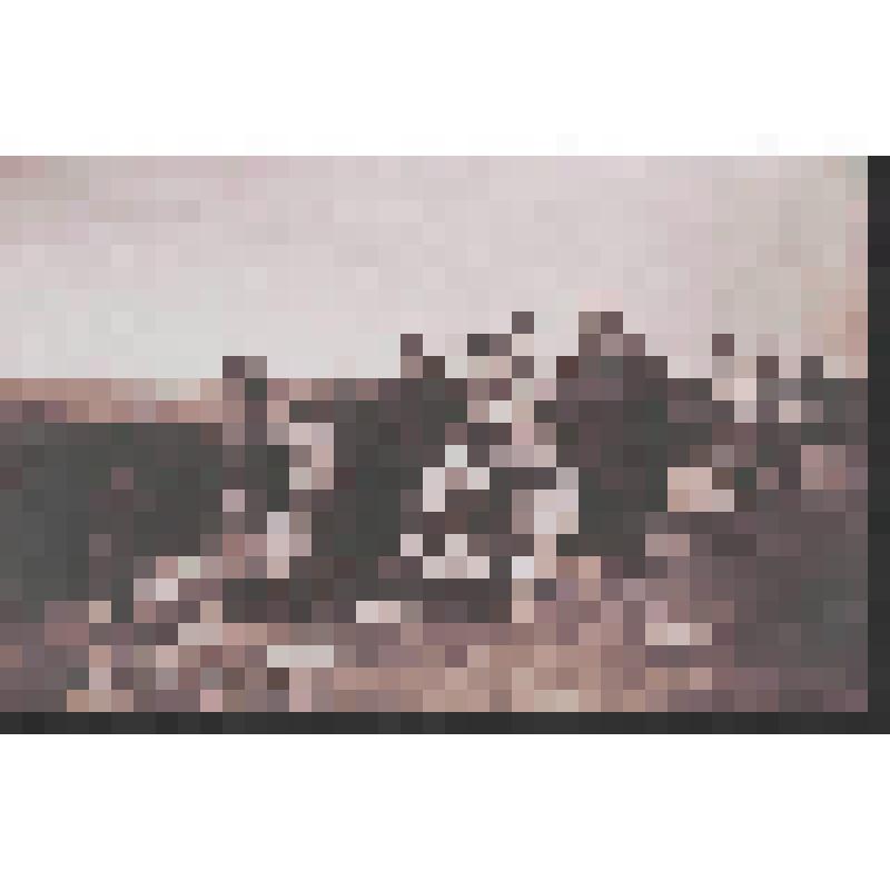 Открытка. Утопленник