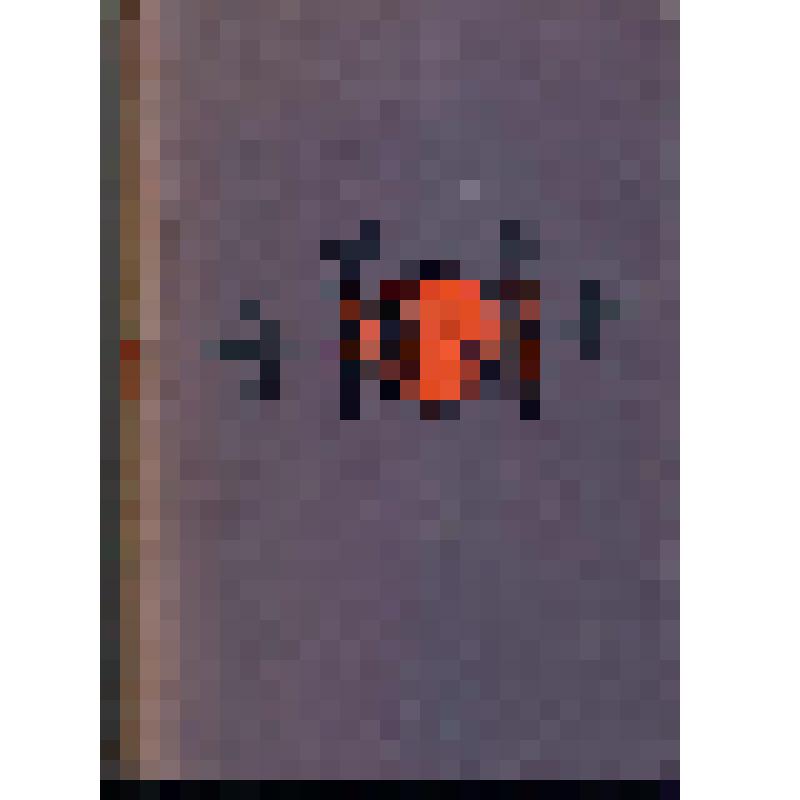 Книга. Спартак /Перевод с итальянского Л.Я. Френкель. - Москва.-Ленинград.: ACADEMIA. 1936 г