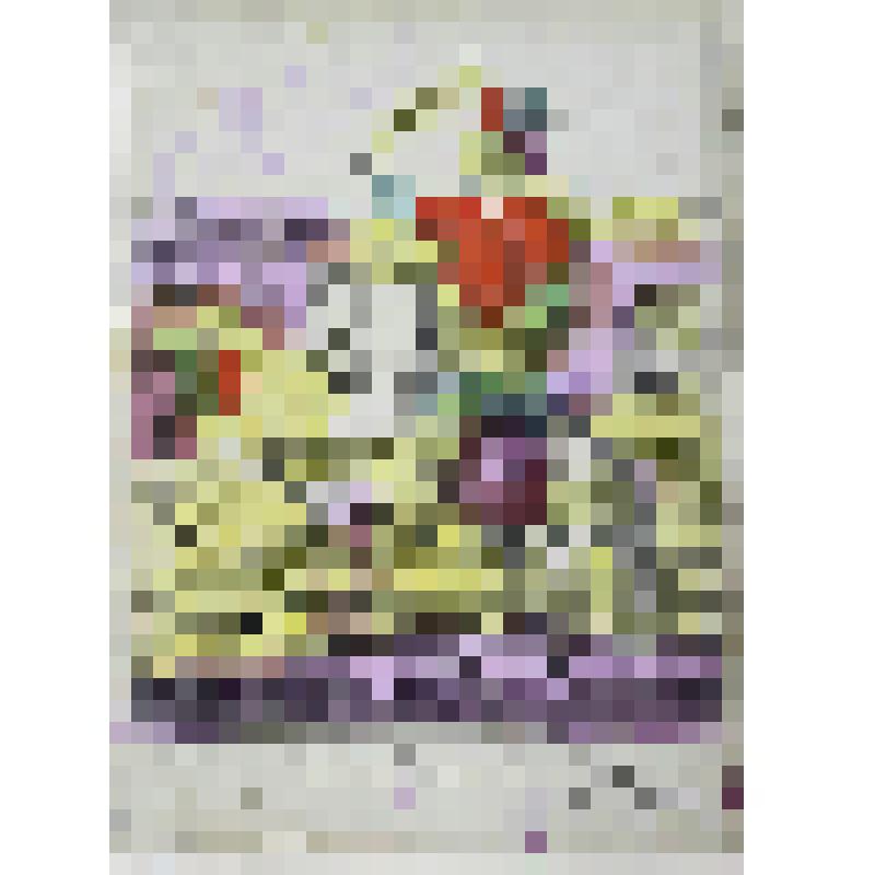 Лубочная картинка "Храбрый и сильный рыцарь князь Флорицкий Гуак"