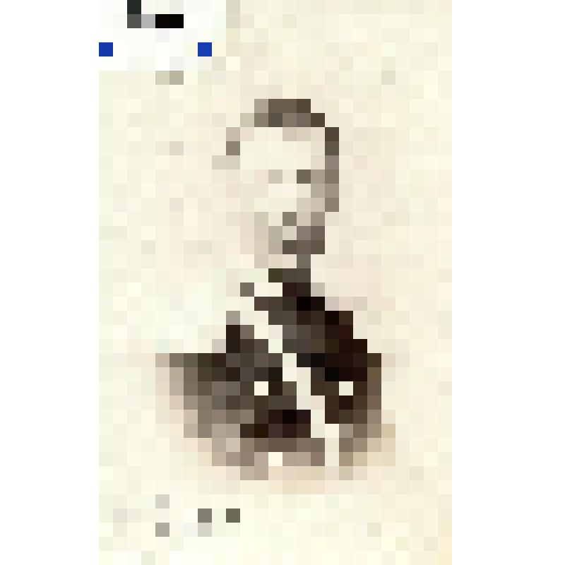 Фотография черно-белая. Протопопов Петр Григорьевич