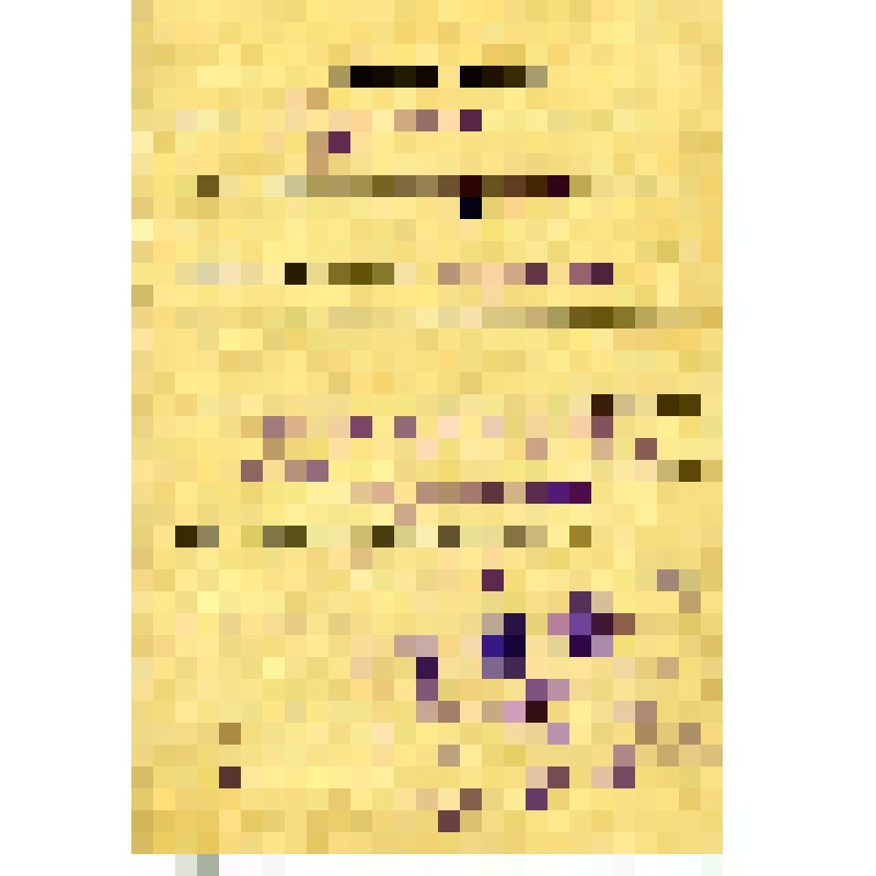 Членская книжка члена кооперативной промысловой артели на имя Клушкиной Нины Владимировны