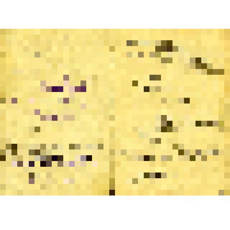 Членская книжка члена кооперативной промысловой артели на имя Клушкиной Нины Владимировны