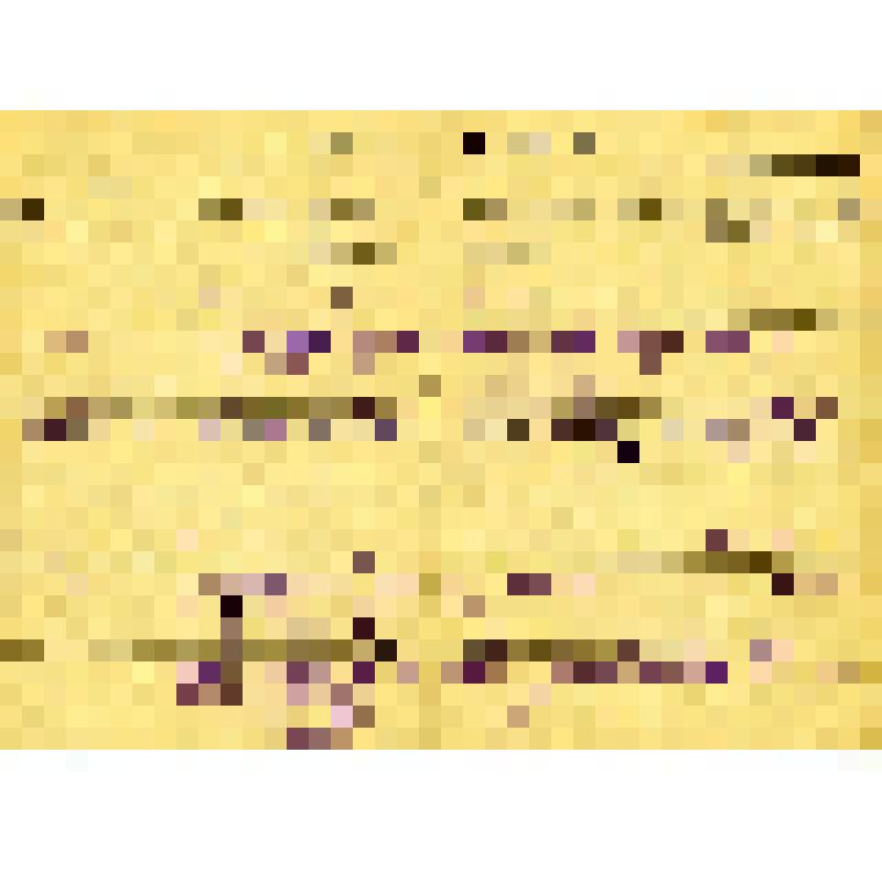 Членская книжка члена кооперативной промысловой артели на имя Клушкиной Нины Владимировны