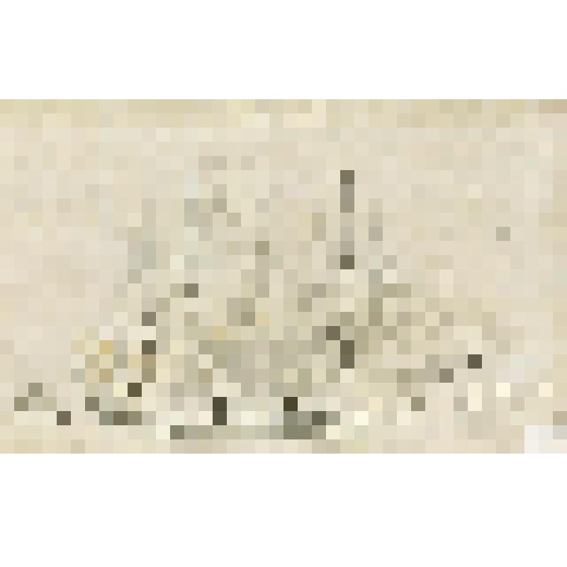 Чертёж  84-пушечного корабля "Императрица Мария" с показом мест попадания в корпус корабля и рангоут турецких ядер в Синопском сражении